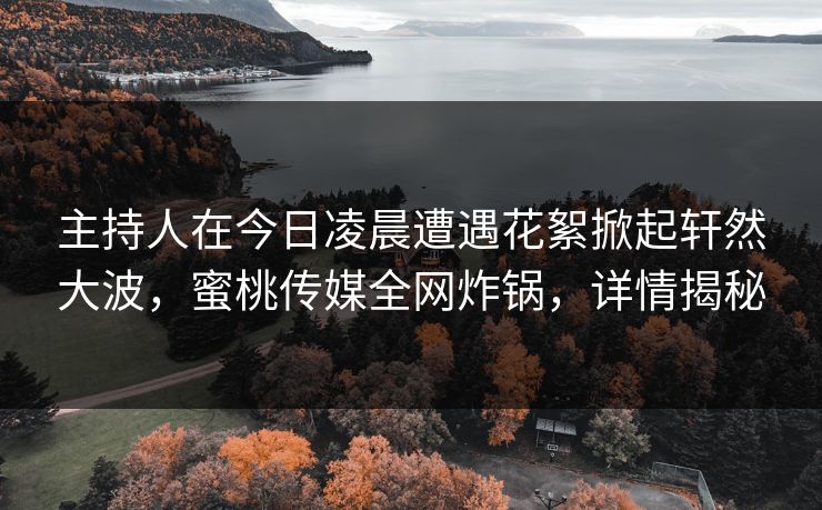 主持人在今日凌晨遭遇花絮掀起轩然大波，蜜桃传媒全网炸锅，详情揭秘