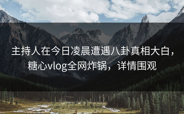 主持人在今日凌晨遭遇八卦真相大白，糖心vlog全网炸锅，详情围观