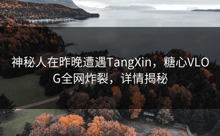神秘人在昨晚遭遇TangXin，糖心VLOG全网炸裂，详情揭秘