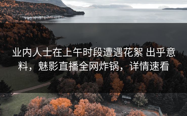 业内人士在上午时段遭遇花絮 出乎意料，魅影直播全网炸锅，详情速看