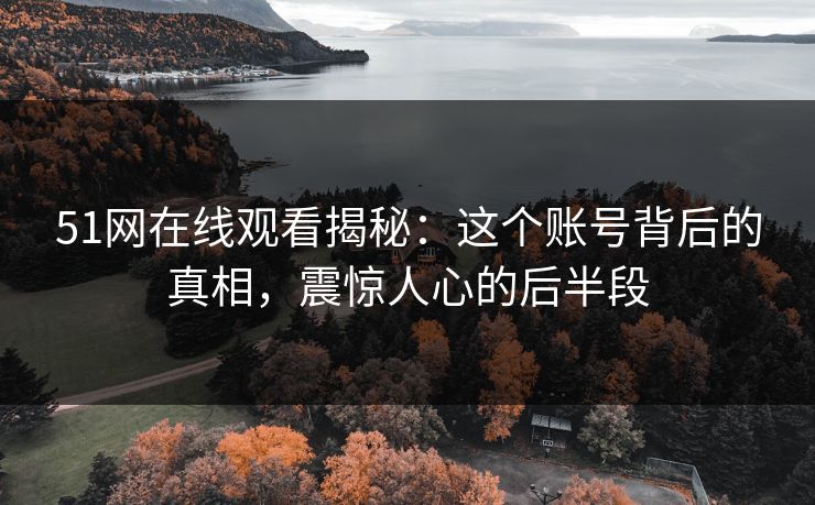 51网在线观看揭秘：这个账号背后的真相，震惊人心的后半段